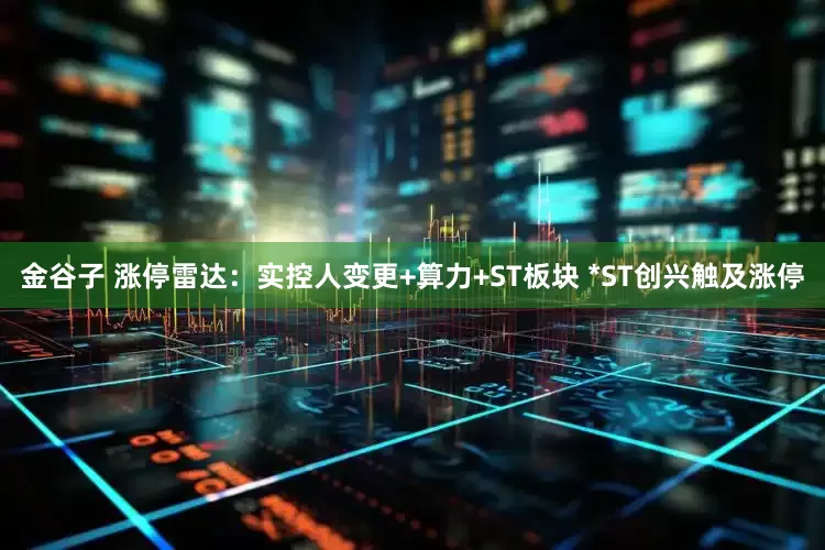 金谷子 涨停雷达：实控人变更+算力+ST板块 *ST创兴触及涨停