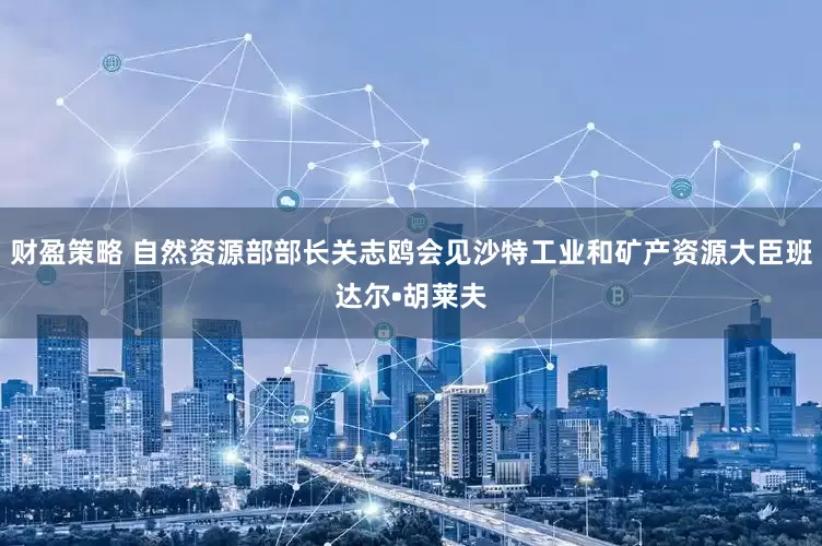 财盈策略 自然资源部部长关志鸥会见沙特工业和矿产资源大臣班达尔•胡莱夫